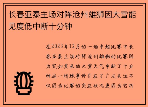长春亚泰主场对阵沧州雄狮因大雪能见度低中断十分钟